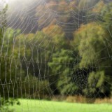 1109F 096 Trier-Paderborn